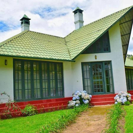 Camp Noel Hotel Munnar Buitenkant foto